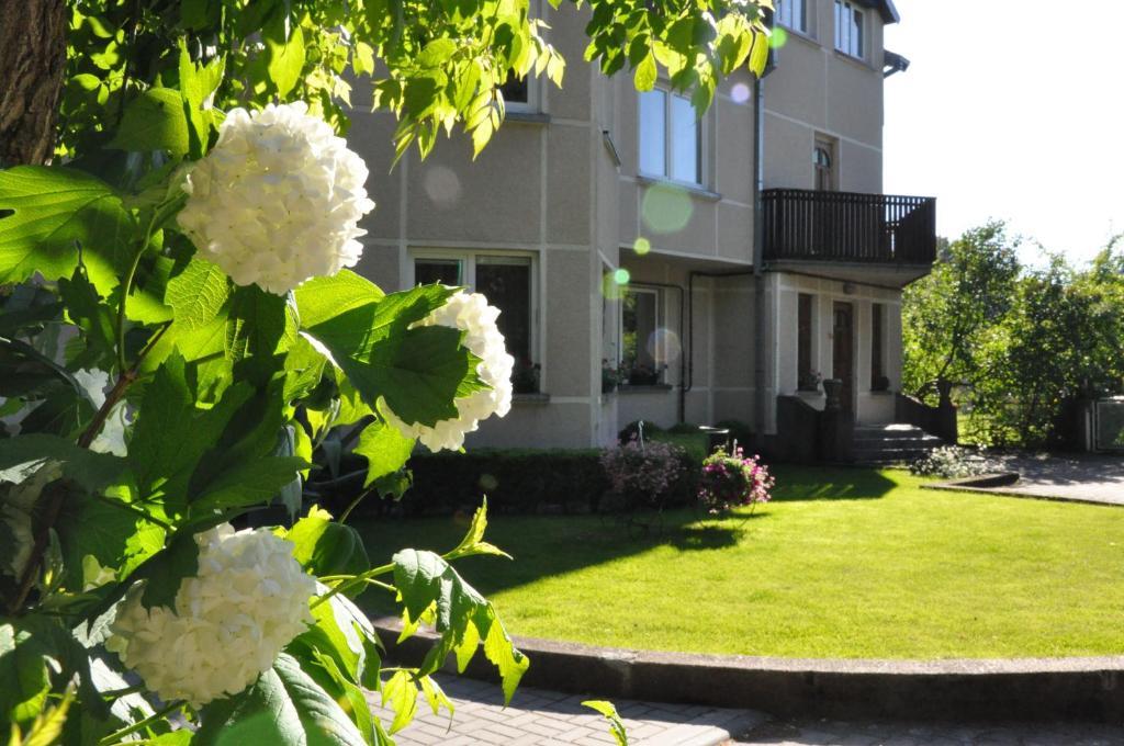 Hotel Elena à Palanga Extérieur photo